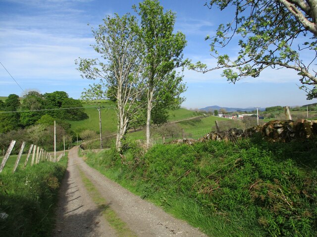 Road from Cleughhead sloping down towards the Logan Water