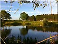 Pond at Hawkesbury Hall Farm