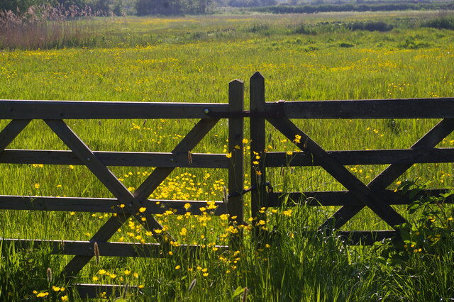 Gate onto marshes, Snape