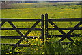 Gate onto marshes, Snape