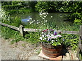 The duckpond at Fairseat