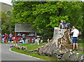 Kids playing on a tree stump