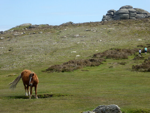Saddle Tor and a Dartmoor pony
