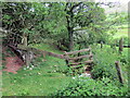 Sticil doredig ar lwybr / Broken stile on path