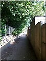 Path behind houses on Sandford Road