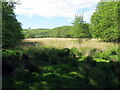 Llwybr i Bont Aber / Path to Pont Aber