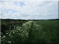 The Staffordshire Way near Bednall