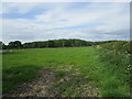 Grass field, Longridge