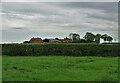 A view of High House Farm