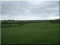 Grassland off the B7081 near Dreghorn