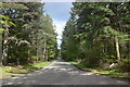 Rhu-Na-Haven Road, looking east