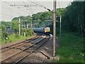 SE2436 : Freight train approaching Kirkstall Forge station by Stephen Craven