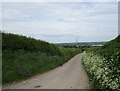 The Lane, Coppenhall