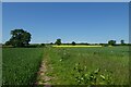 SE5446 : Bridleway over farmland by DS Pugh