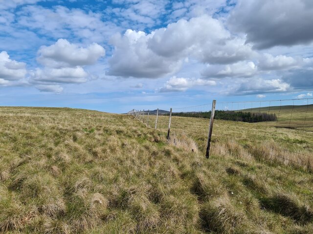 Deer Fence South of North Part of Strathy Forest