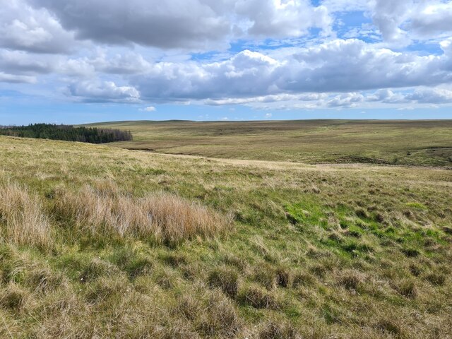 Rough Grassland East of Strathy Forest
