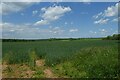 Farmland north of Holme Farm Lane