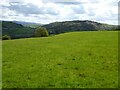 Farmland at Derwen