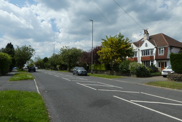 Houses on Alwoodley Lane © DS Pugh :: Geograph Britain and Ireland