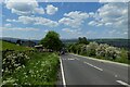 Descending East Chevin Road