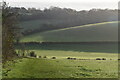 Dry valley east of Meopham Green