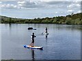 H4984 : Paddleboarding at Oak Lough by Kenneth  Allen