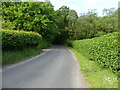 Looking towards Mill Bottom Plantation