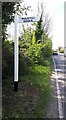 Direction Sign ? Signpost at Willows Green, Felsted