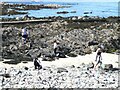 Beach and rock pools at Inverallochy