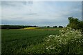 Fields north of Sicklinghall Road