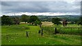 The western end of Knightshayes Park