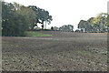 Ploughed field