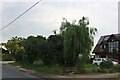 Garden on East Road, East Mersea