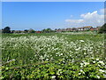 Looking towards Chyngton Way