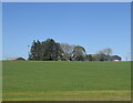 Looking across the fields towards Auchlee Farm...