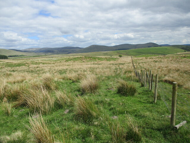 Fenceline near Lochside