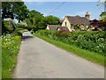 Roadside cottage