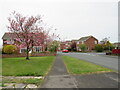 Eskdale Road, Whitby