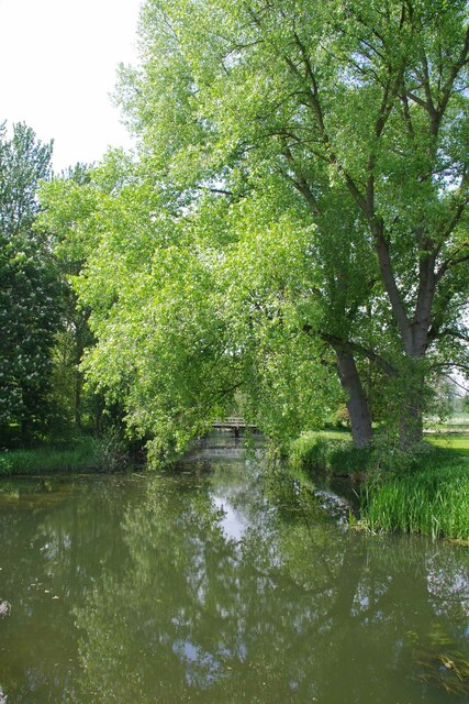 Upstream on the River Stour