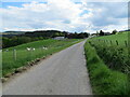 NH4939 : Fence-lined minor road approaching Boblainy by Peter Wood