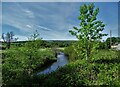 Bend in the River Etherow near Brookfield