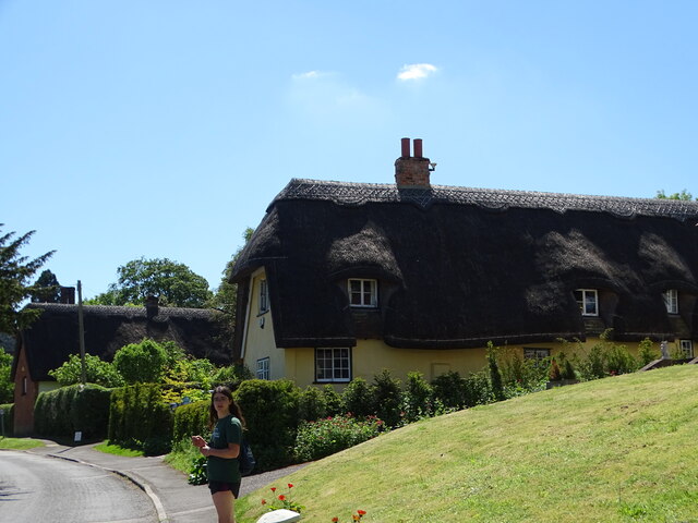 Thatched houses in Heydon