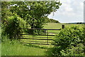 Field gate on track to Hawley