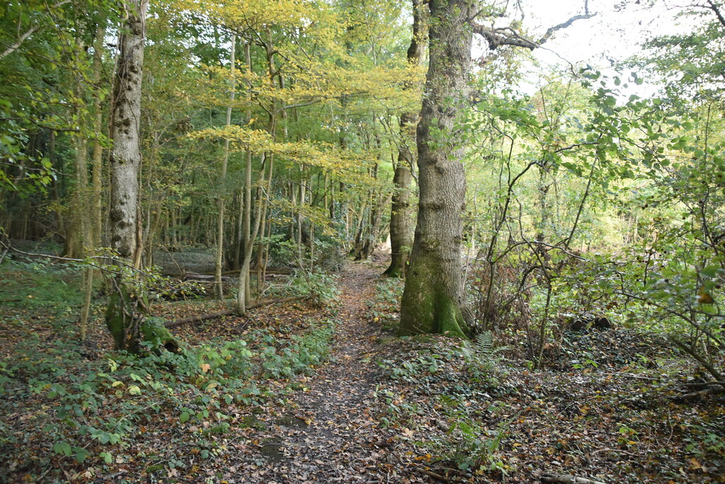 Footpath, Rowlands Wood © N Chadwick :: Geograph Britain and Ireland