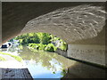 Under the A441 Road Bridge No 67 at Hopwood