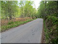 NH3232 : Minor tree-lined road descending into Glen Cannich by Peter Wood