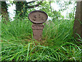 Milestone, Lower Wyndham Terrace