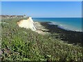 The cliffs at Peacehaven