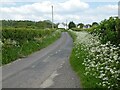 Hedge Lane