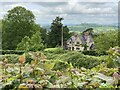 A glimpse over a hedge